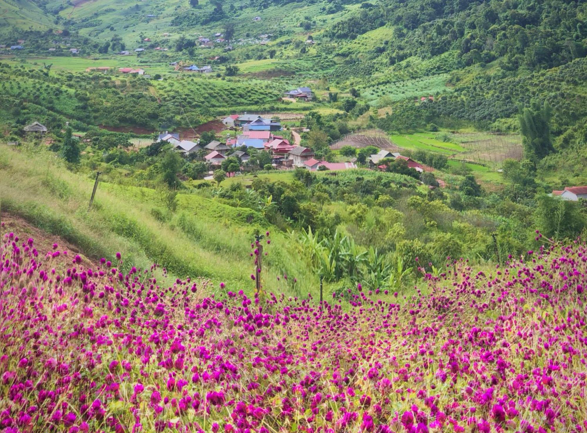 Mường Sang Farmstay Moc Chau Ngoại thất bức ảnh
